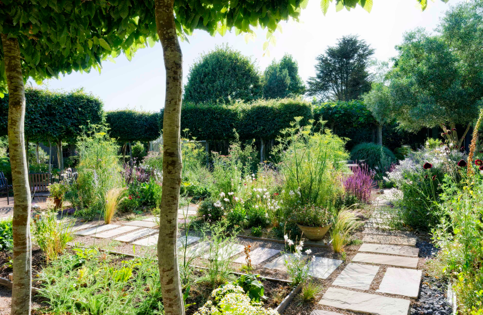 Sandstone paving winding through pleached hornbeam and dry planting