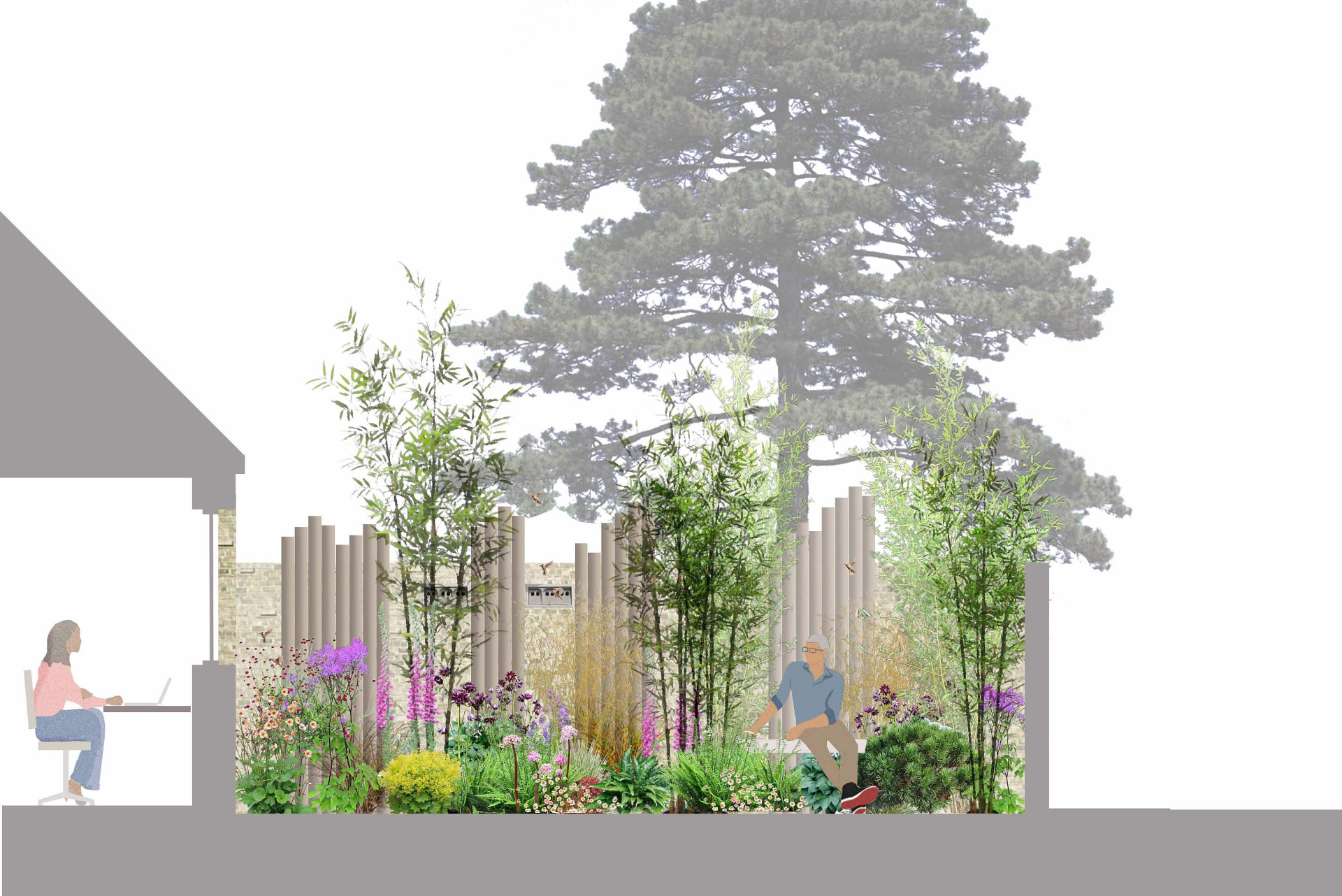 Elevation drawing of the courtyard showing bamboo, ferns and foxgloves beneath a mature pine