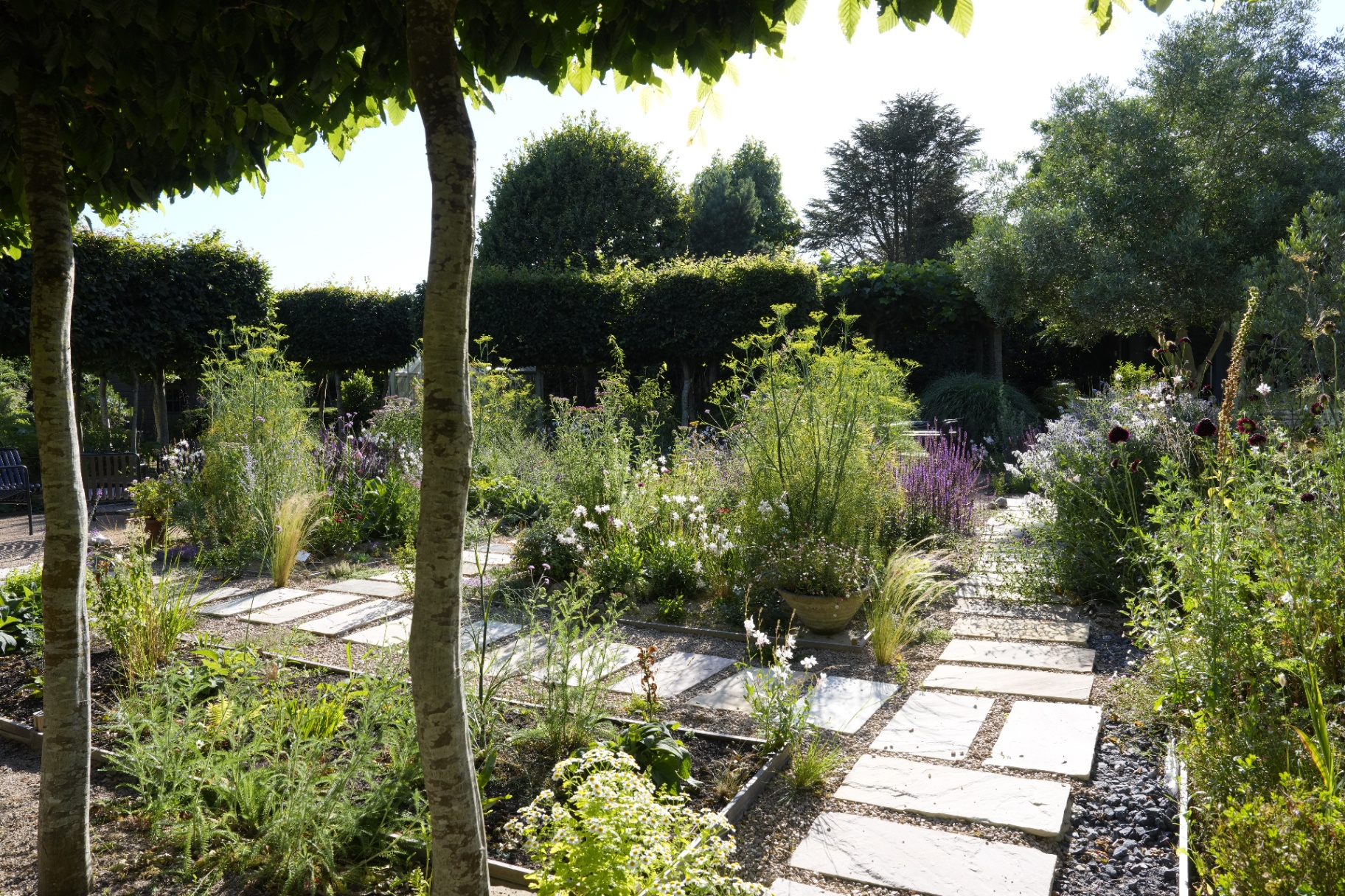 Sandstone paving stepping stones through a naturalistic gravel garden with clipped hornbeam behind