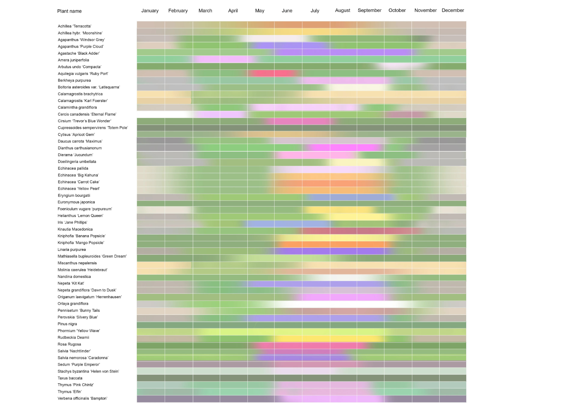 Seasonal flowering calendar for the garden plant palette