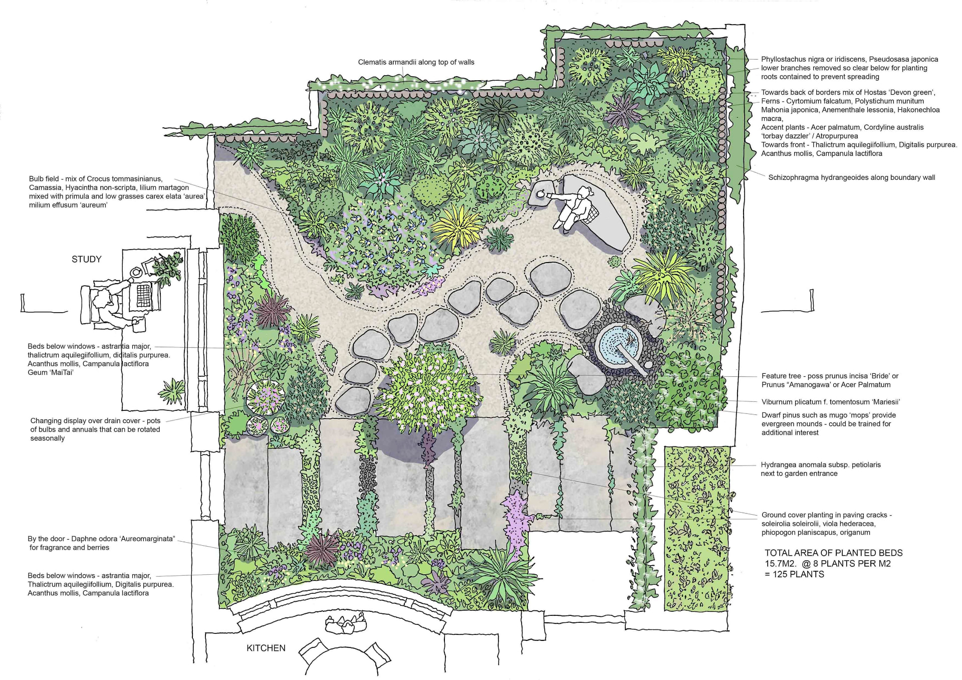Annotated planting plan for the shady courtyard garden