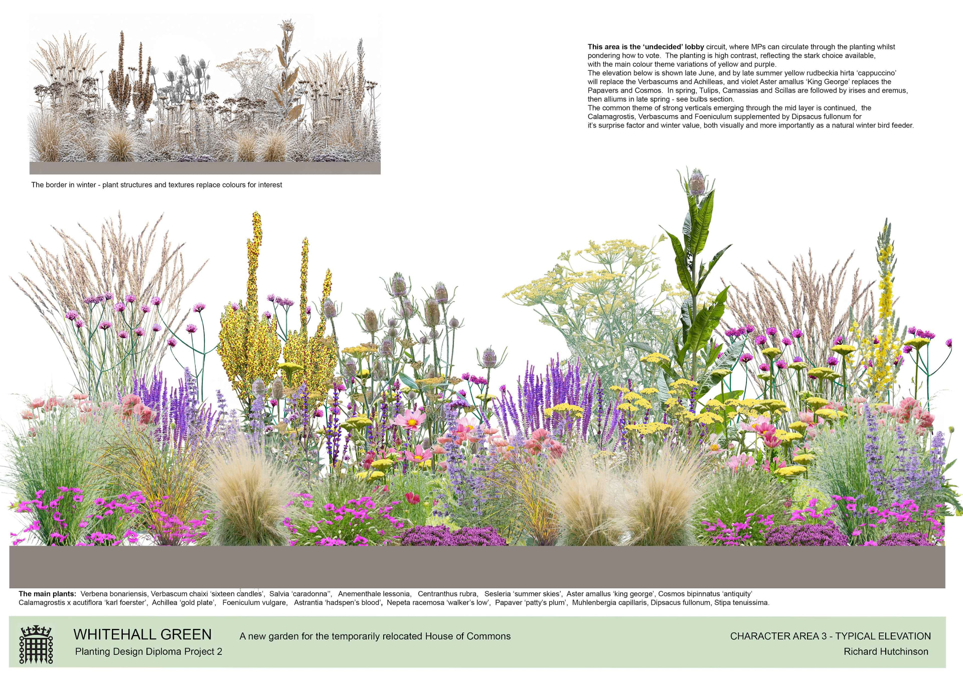 Planting elevation for the 'undecided' lobby border
