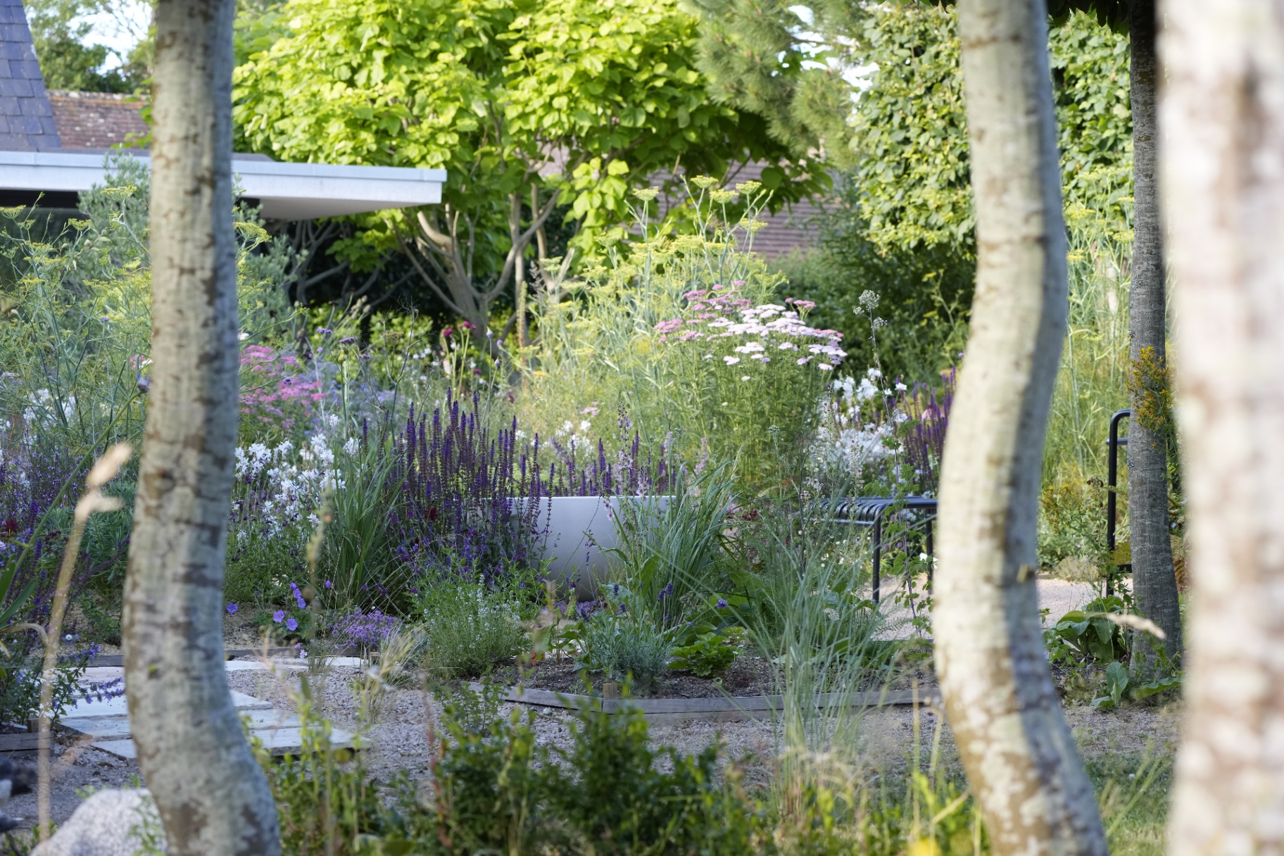 A modern dry garden with silver-foliaged plants and limestone walls