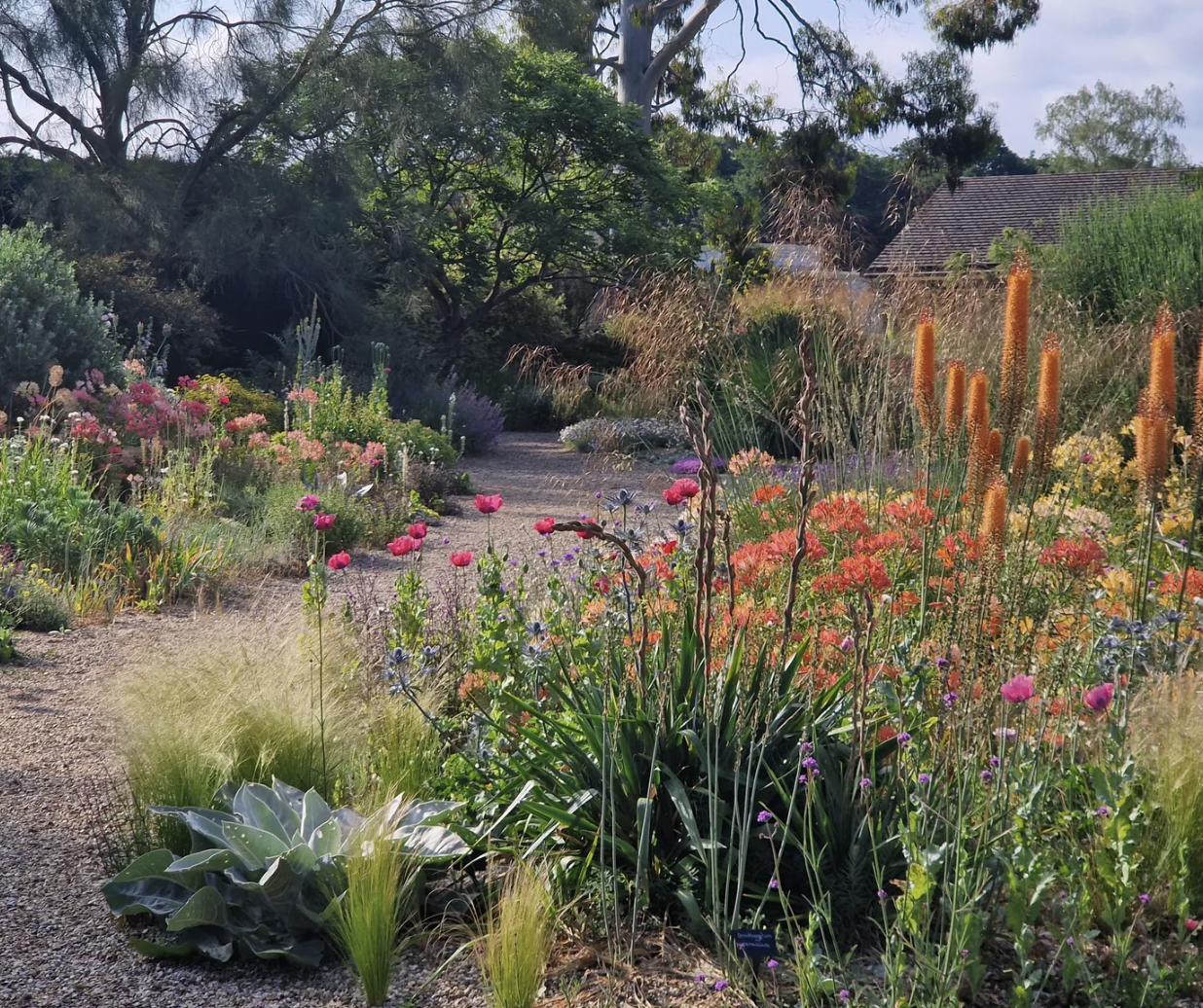 A gravel garden bed being mulched with pale pebbles
