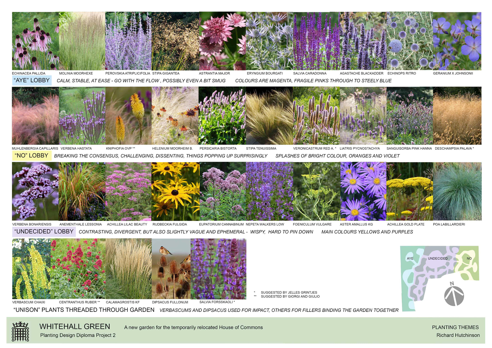 Planting themes board for the Whitehall Green garden